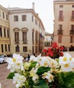 Sabato 11 e domenica 12 ottobre dalle 10 alle 18