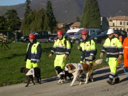 protezionecivile08.jpg