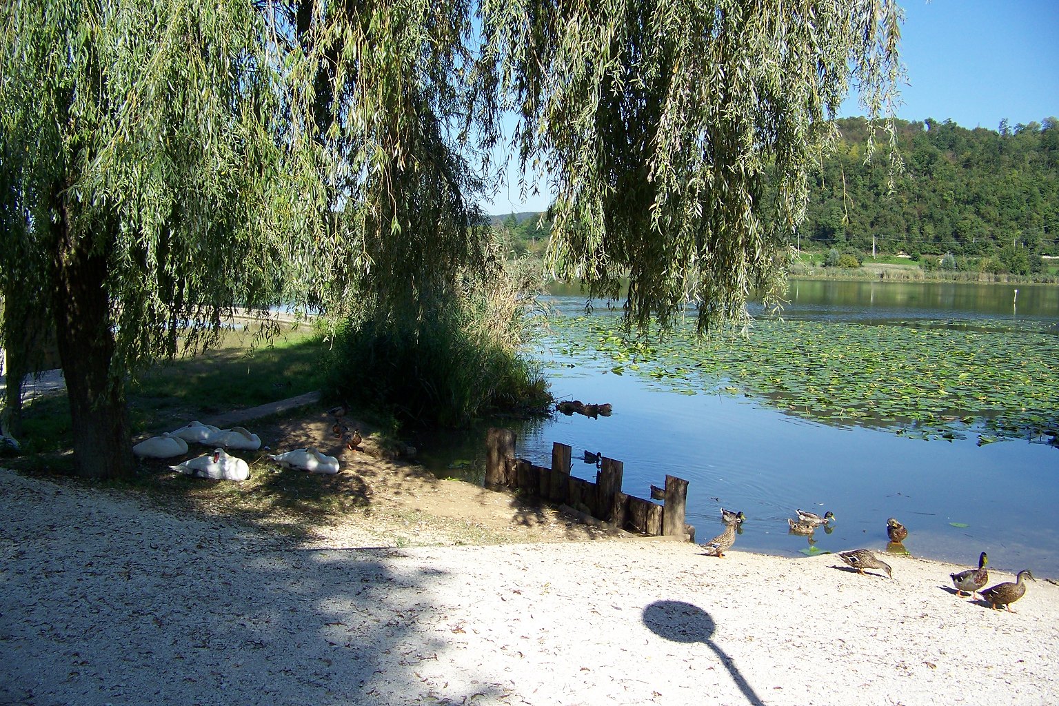 Lago di Fimon