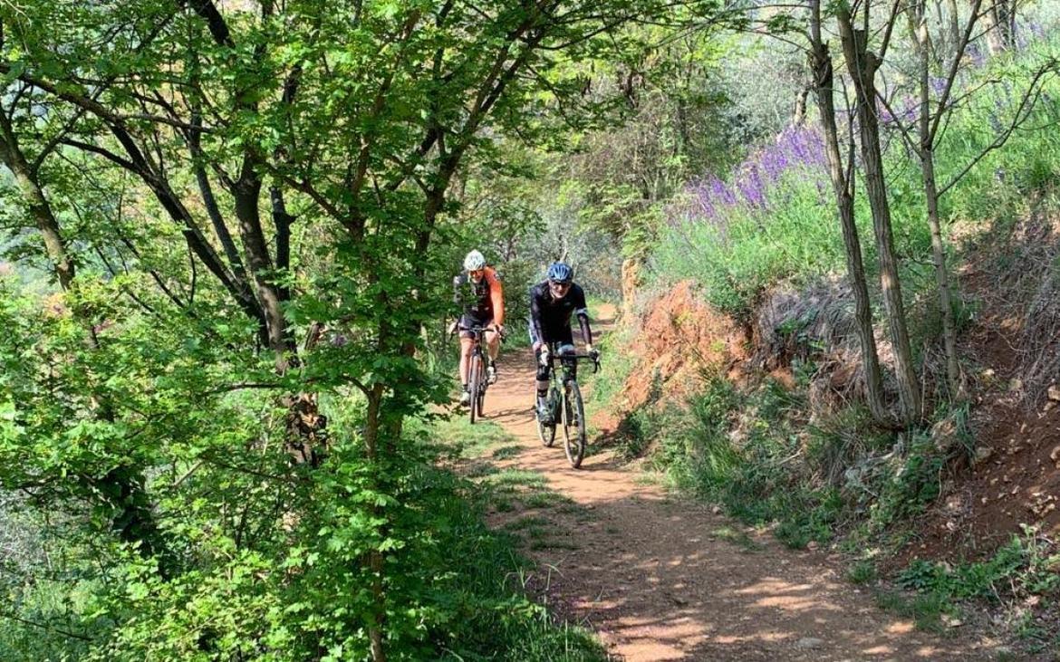 bici Colli Berici